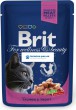 Brit Premium Cat kapsa with Salmon & Trout 100g